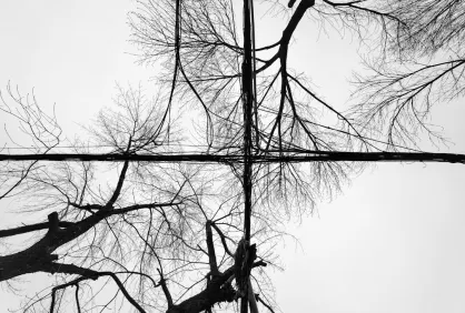 Sports and Casino Mobile App